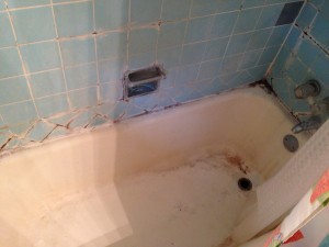 Remodel Bath Tub Greenville